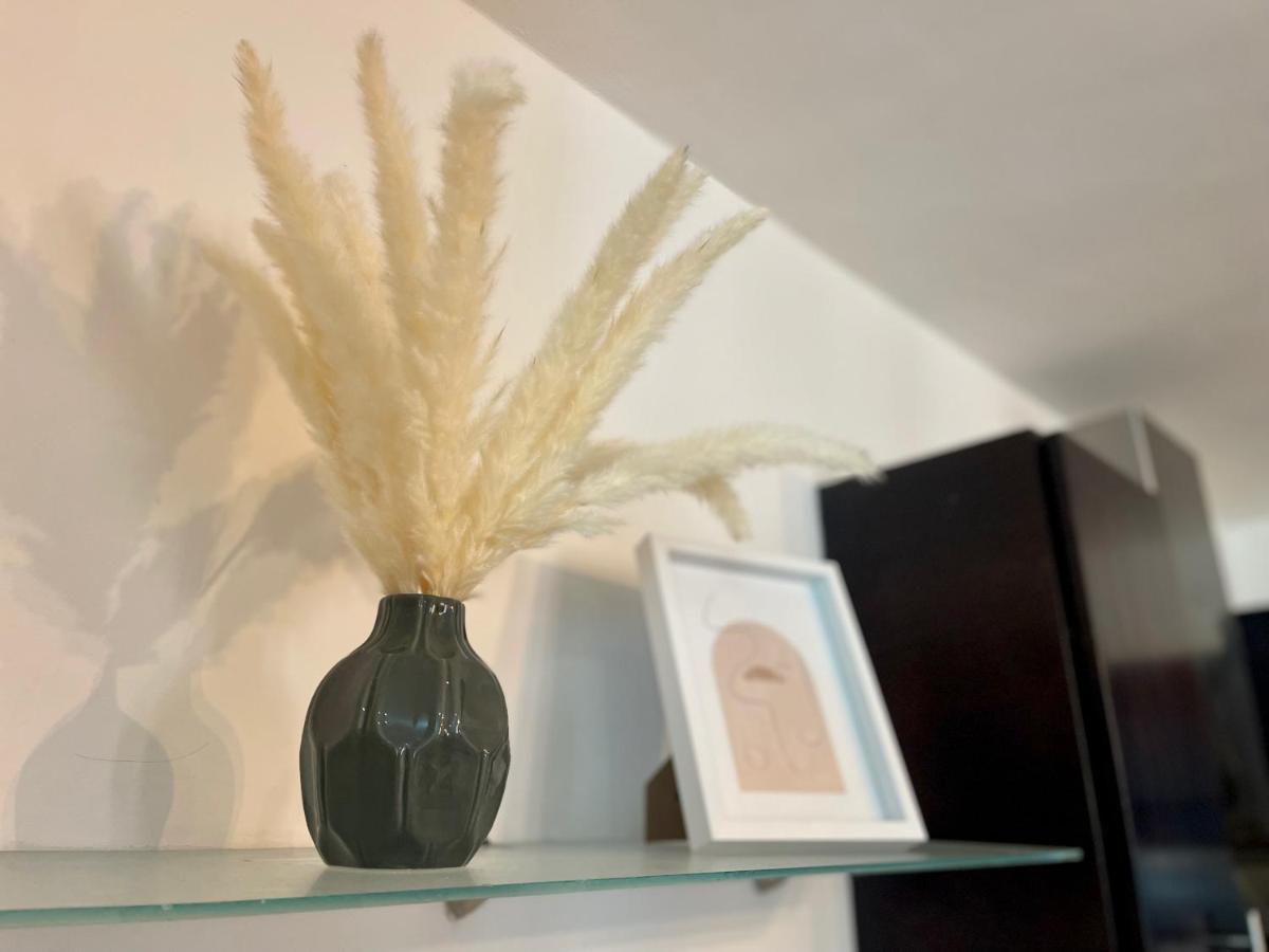 Apartmento Centro Playa Tendenza プレヤデルカーメン エクステリア 写真